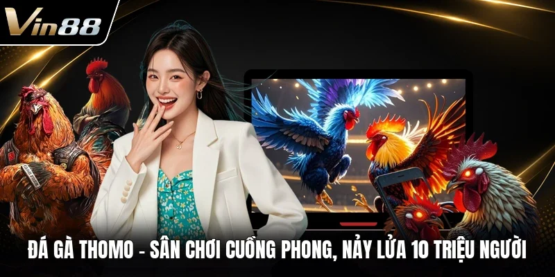 Đá Gà Thomo - Sân Chơi Cuồng Phong, Nảy Lửa 10 Triệu Người